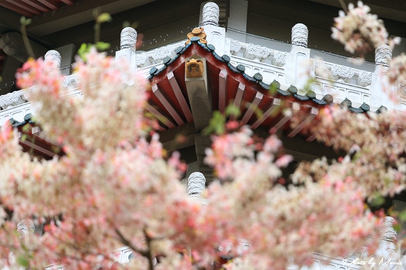 towerflower05