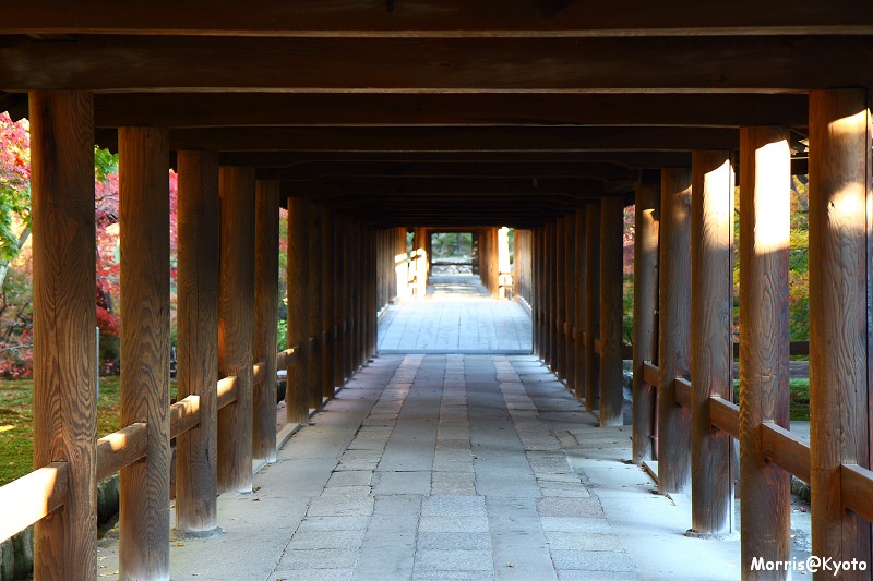 東福寺 (5)