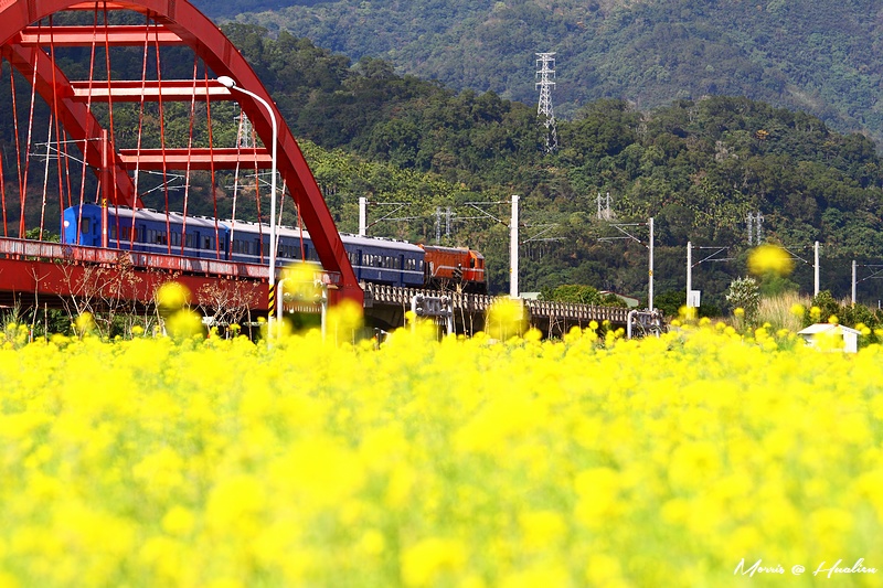 yellowf19