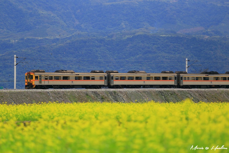 yellowf42