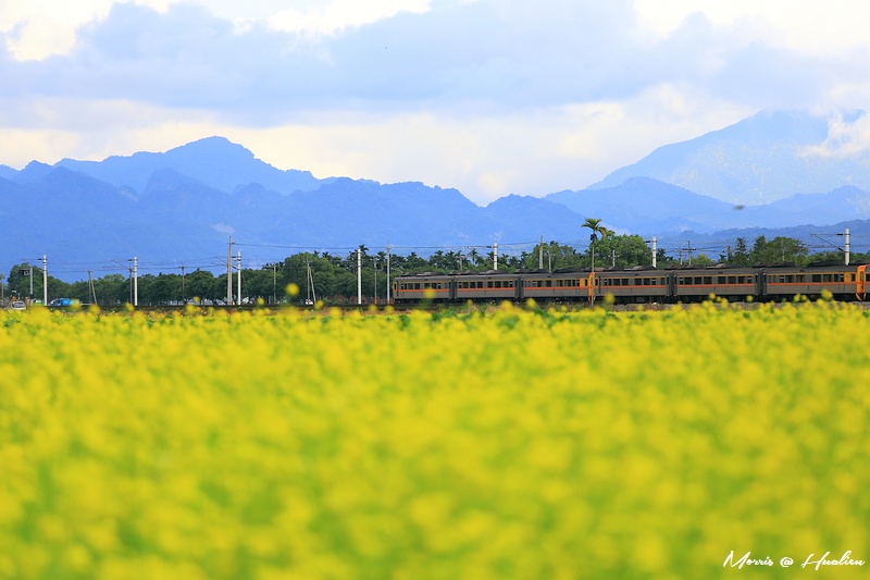 yellowf44